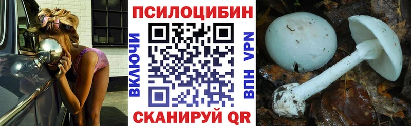 Псилоцибиновые грибы Magic Shrooms купить наркоту Щёкино